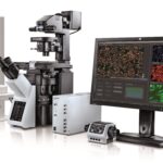 olympusscan